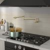 Traditional Wall Mount Stove Swing Arm Folding 2 Handles 360°Rotation Dual Joints Pot Filler Kitchen Faucet with ABS Faucet Aerator